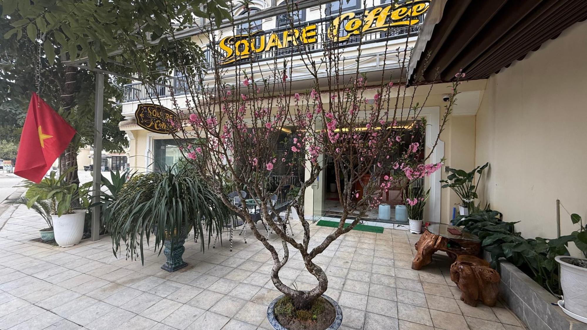 Square Homestay & Coffee Bac Ha  Eksteriør bilde